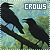 Nevermore - A crows fanlisting